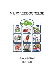 Miljøredegørelse 2004-2008 - Sønderborg Forsyning