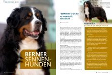 Berner Magazines