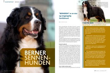 Berner Sennen - Dansk Kennel Klub