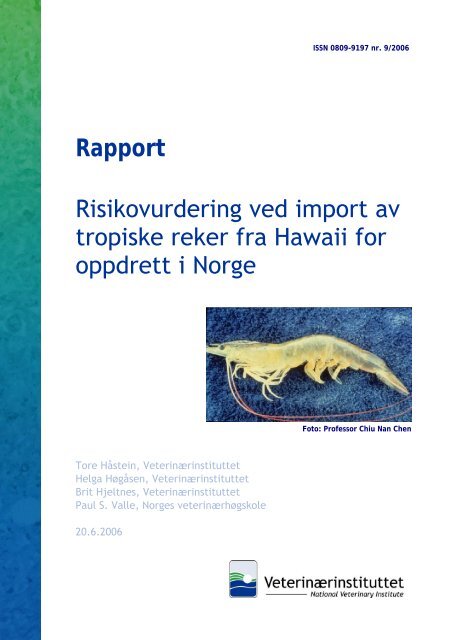 Risikovurdering ved import av tropiske reker fra Hawaii for oppdrett i