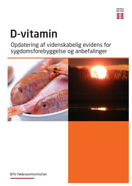 vitamin anbefalinger vitamin anbefalinger