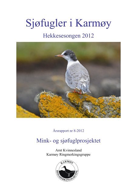 Sjøfugler i Karmøy - Karmøy Ringmerkingsgruppe