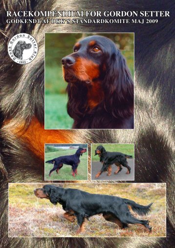 RAcEKOMPENDIUM FOR GORDON sEttER - Kennel Aaen