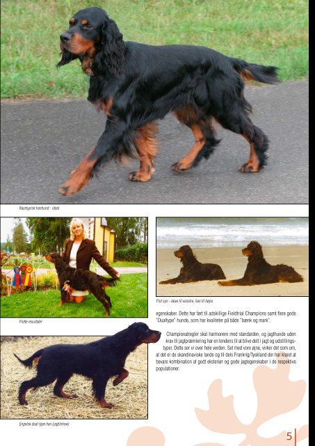 RAcEKOMPENDIUM FOR GORDON sEttER - Kennel Aaen