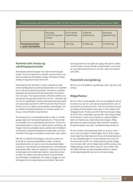 ENERGI- OG MILJØTEKNOLOGI - Region Midtjylland