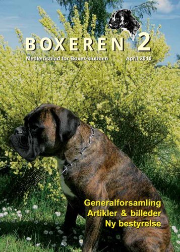 Boxeren 2 -2010 - Boxerklubben