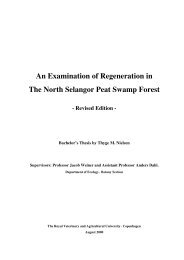 An Examination of Regeneration in The North ... - Thyge M. Nielsen