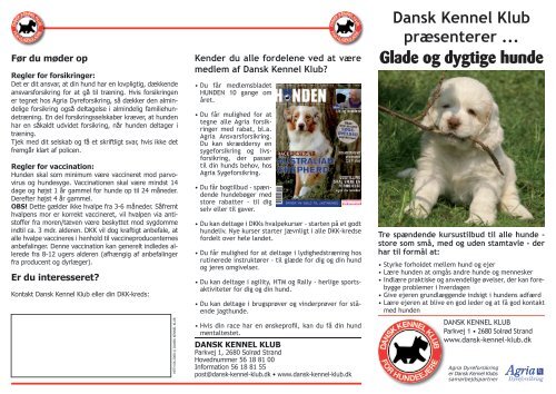 DKK præsenterer Glade og dygtige hunde - Dansk Kennel Klub