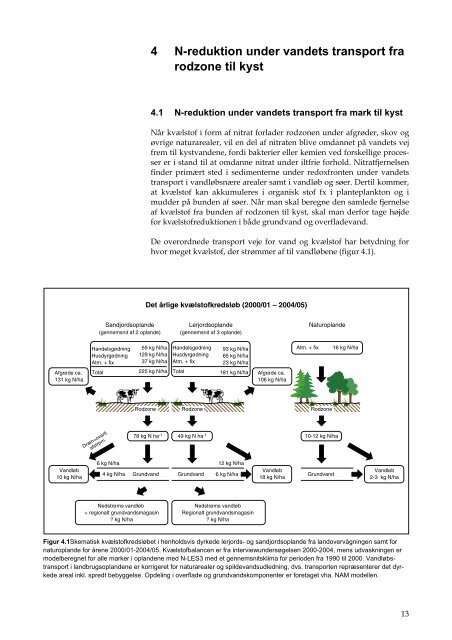 Kvælstofreduktionen fra rodzonen til kyst for Danmark, Fagligt ...
