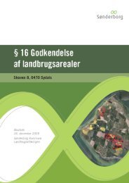 Arealgodkendelsen - Sønderborg