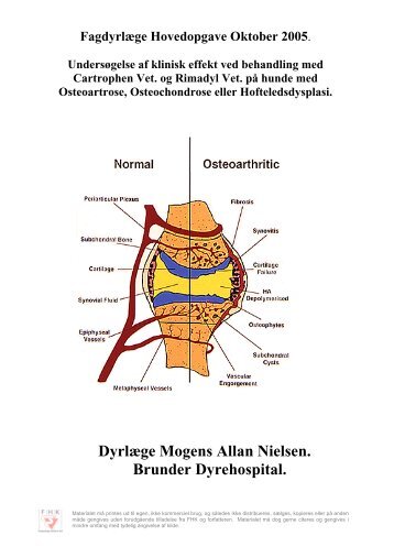 Dyrlæge Mogens Allan Nielsen. Brunder Dyrehospital.