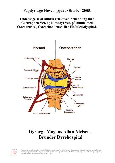 Dyrlæge Mogens Allan Nielsen. Brunder Dyrehospital.