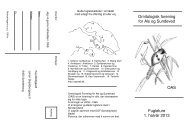 Ornitologisk forening for Als og Sundeved Fugleture 1. halvår 2013 ...