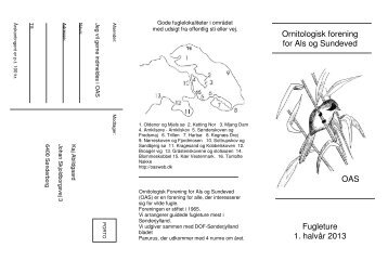 Ornitologisk forening for Als og Sundeved Fugleture 1. halvår 2013 ...