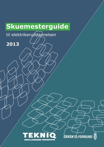 Download skuemesterguide til elektrikeruddannelsen i PDF ... - EVU