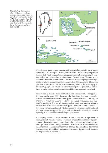 Migration and breeding biology of Arctic terns in Greenland