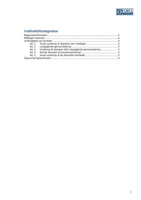 Engparken – FORCE rapport fra 8. juni 2011 - Vesterport