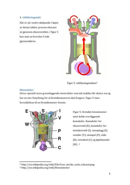 Rapporten