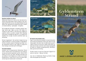 Gyldensteen folder - Aage V. Jensens Fonde