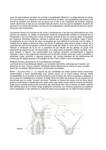 Congreso Internacional de Actualización Apícola. 26 al 28 ... - anmvea