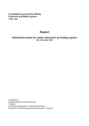 Rapport om fødselsforberedelse for kvinder med anden etnisk ...