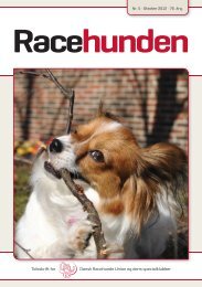 Racehunden - Dansk Racehunde Union