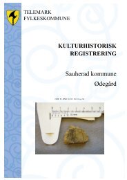 Odegaard 08_2540.pdf - Telemarkskilder