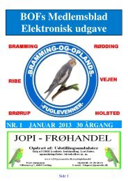 BOFs Medlemsblad Elektronisk udgave - Bramming og Oplands ...