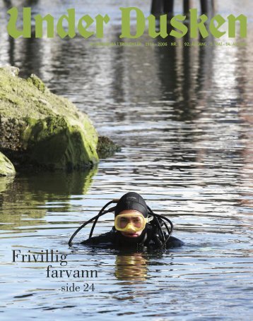 Frivillig farvann - Under Dusken