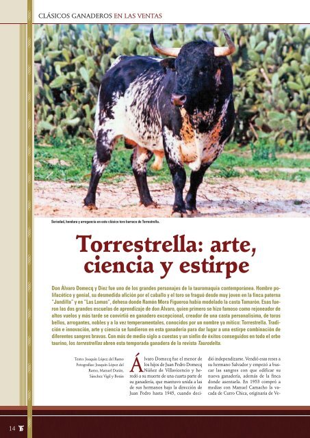Clásicos ganaderos en Las Ventas: Torrestrella