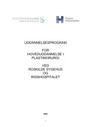 UDDANNELSESPROGRAM - Plastik-instruksen