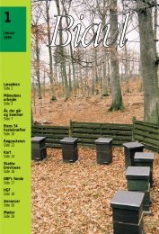 Tidsskrift for Biavl 1999