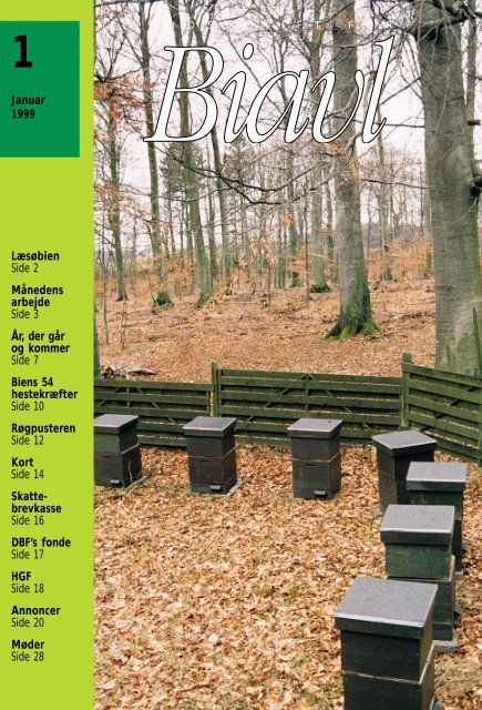 Tidsskrift for Biavl 1999