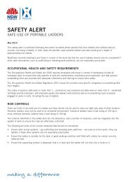 Safe Use of Portable Ladders Safety Alert - cfmeu