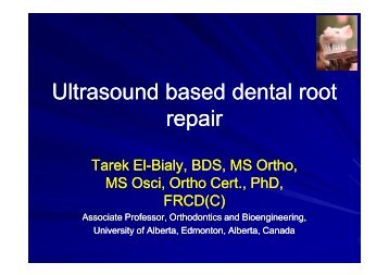 Ultrasound based dental root repair - Acamp