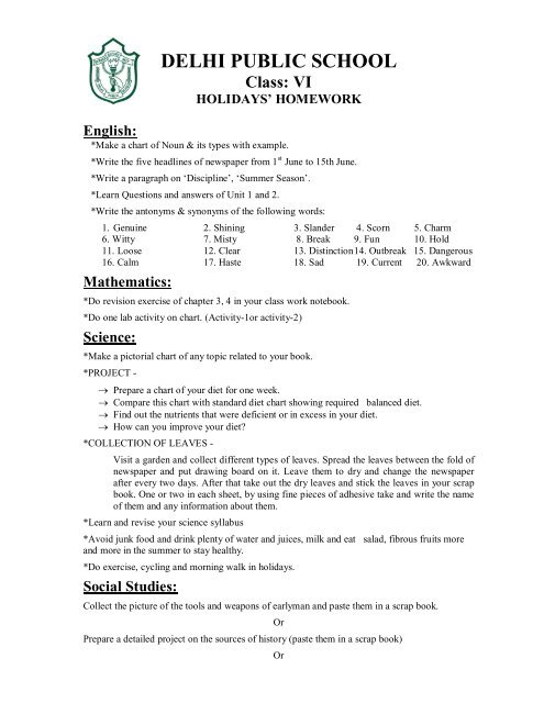 dps holiday homework for class 6