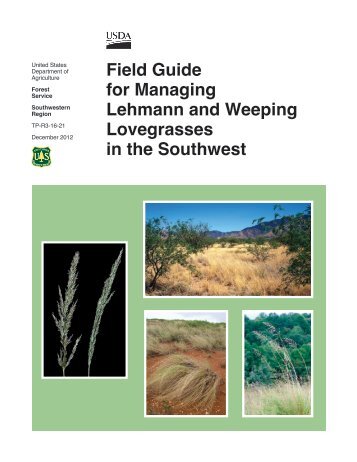 Field Guide for Managing Lehmann and Weeping Lovegrasses in ...
