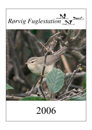 Rapport 2006 (PDF) - Rørvig Fuglestation