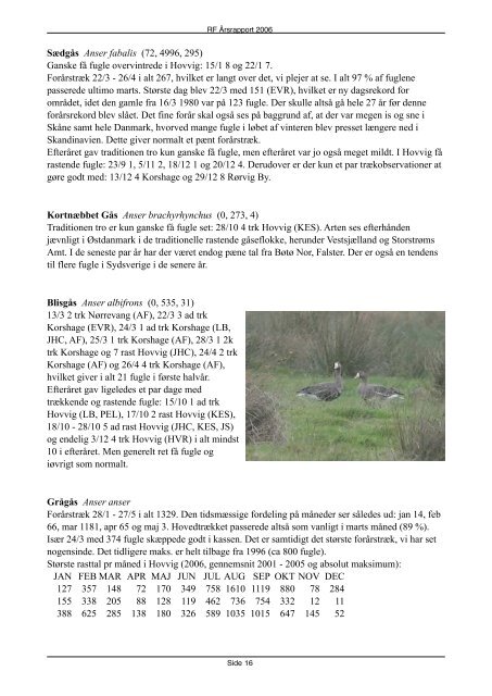 Rapport 2006 (PDF) - Rørvig Fuglestation