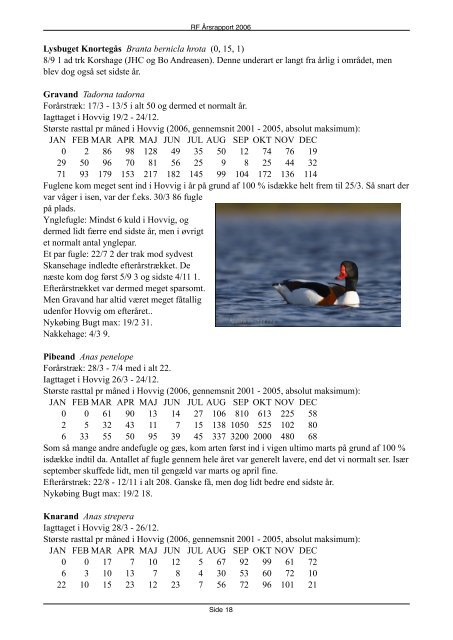 Rapport 2006 (PDF) - Rørvig Fuglestation