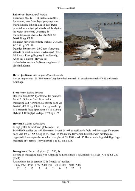 Rapport 2006 (PDF) - Rørvig Fuglestation