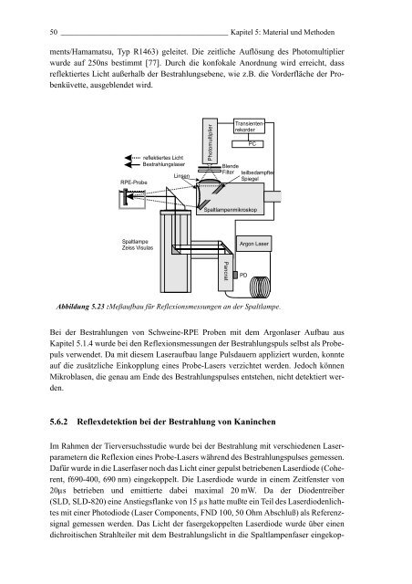 Mechanismen und On-line Dosimetrie bei selektiver RPE Therapie