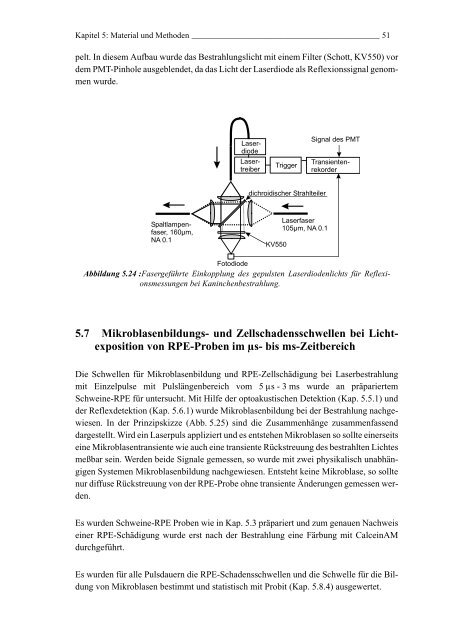 Mechanismen und On-line Dosimetrie bei selektiver RPE Therapie