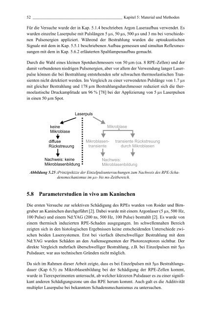 Mechanismen und On-line Dosimetrie bei selektiver RPE Therapie