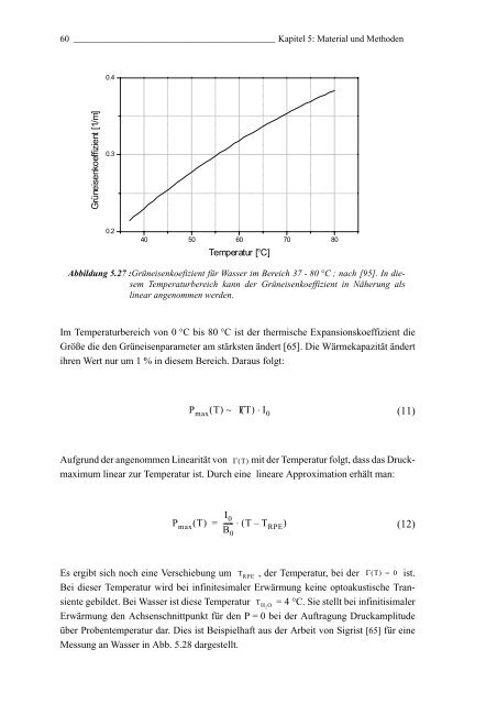 Mechanismen und On-line Dosimetrie bei selektiver RPE Therapie