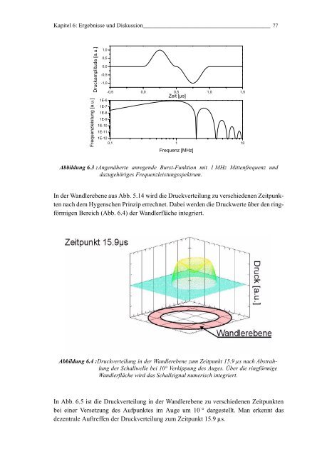 Mechanismen und On-line Dosimetrie bei selektiver RPE Therapie