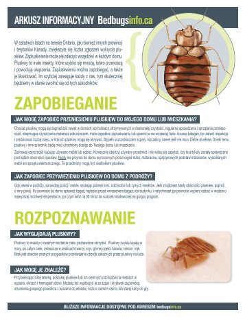 ZAPOBIEGANIE ROZPOZNAWANIE - Bed bugs