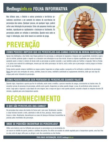 PREVENÇÃO RECONHECIMENTO - Bed bugs