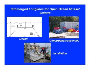 Submerged Longlines for Open Ocean Mussel Culture