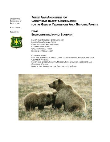 Forest Plan Amendment for Grizzly Bear Habitat Conservation